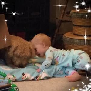 Meet your Posher, Carol